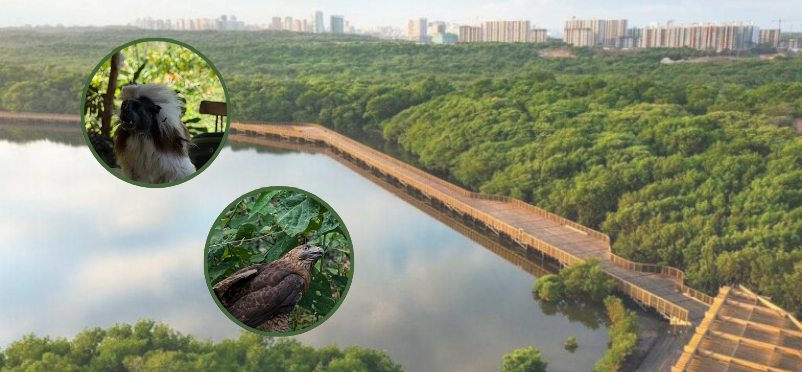 alcaldía de barranquilla