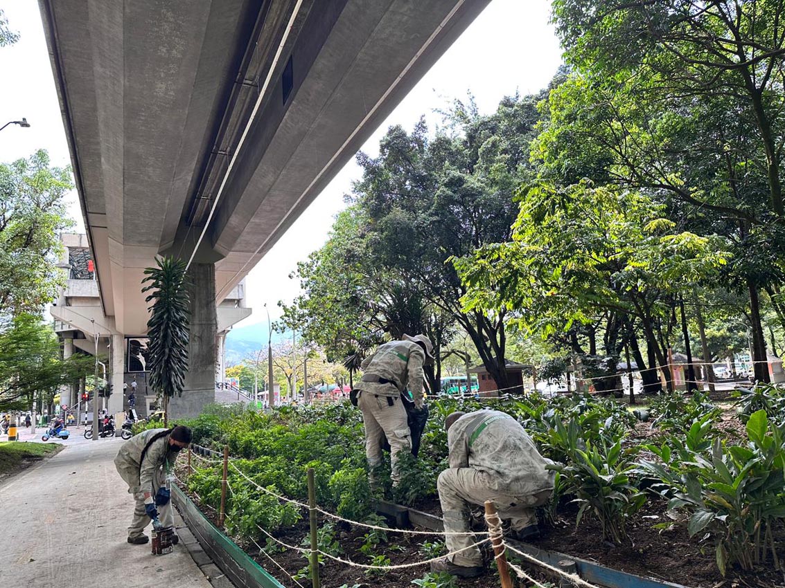 Medellín