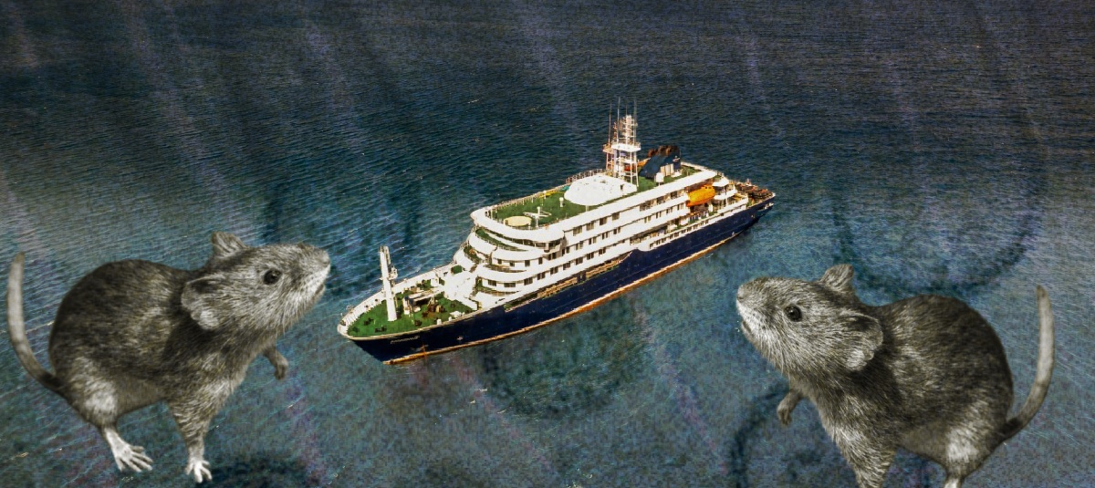 crucero hantaviruos