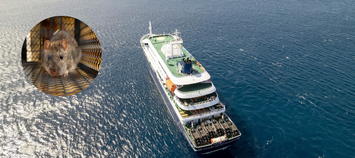 Crucero con posible foco de hantavirus.