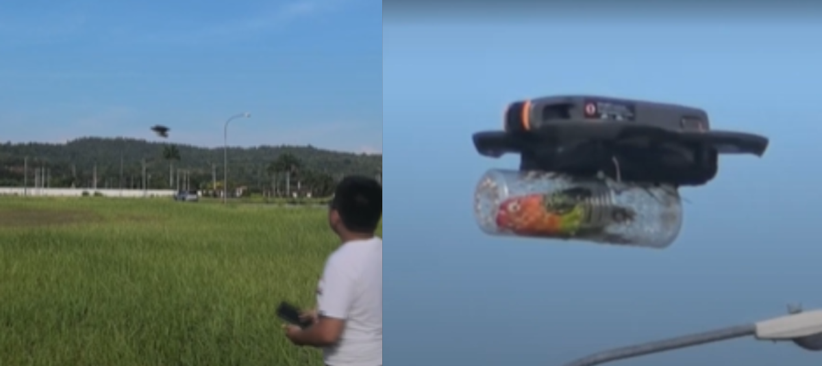 Periquito dron volar
