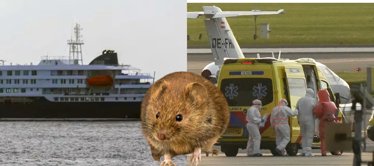 Hantavirus