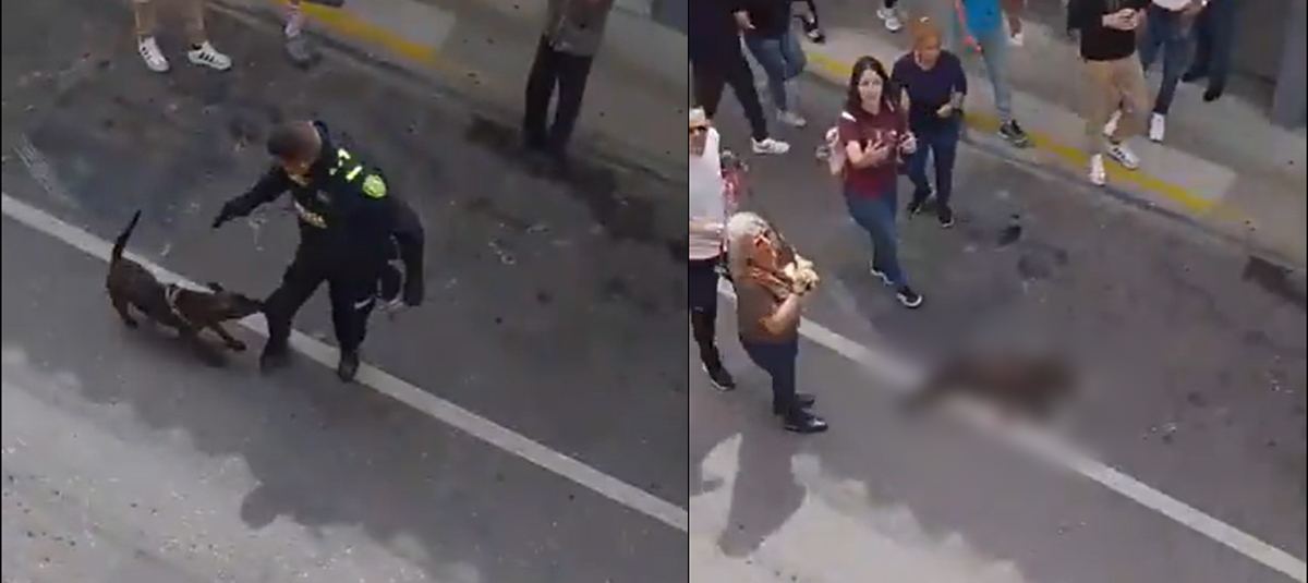 Polis memurunun öldürdüğü köpek