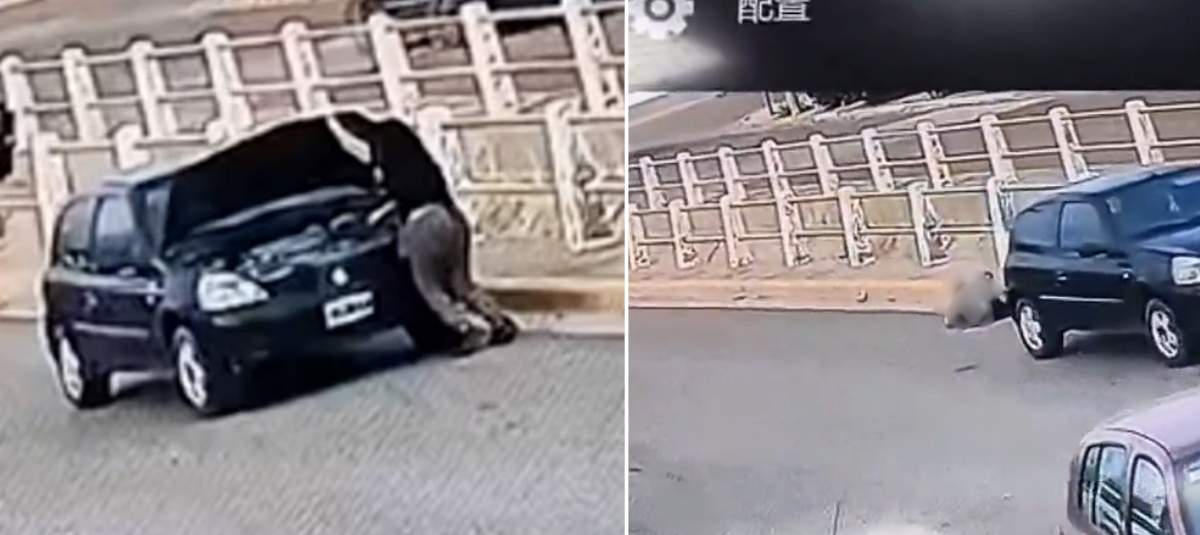 Mujer atropellada por su propio carro.