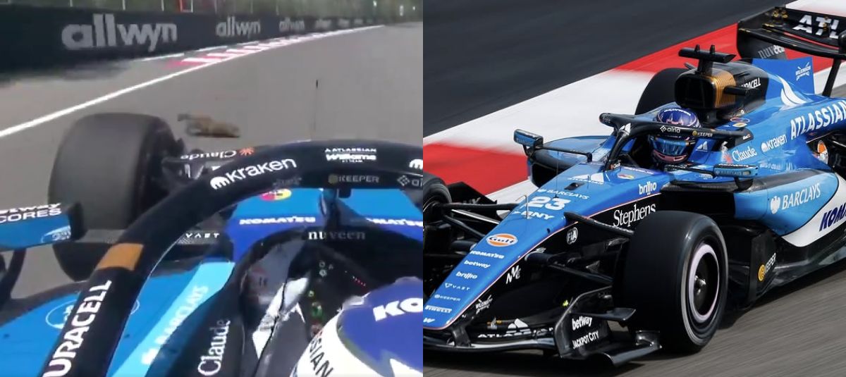 Conductor estrelló una marmota en GP de Canadá.
