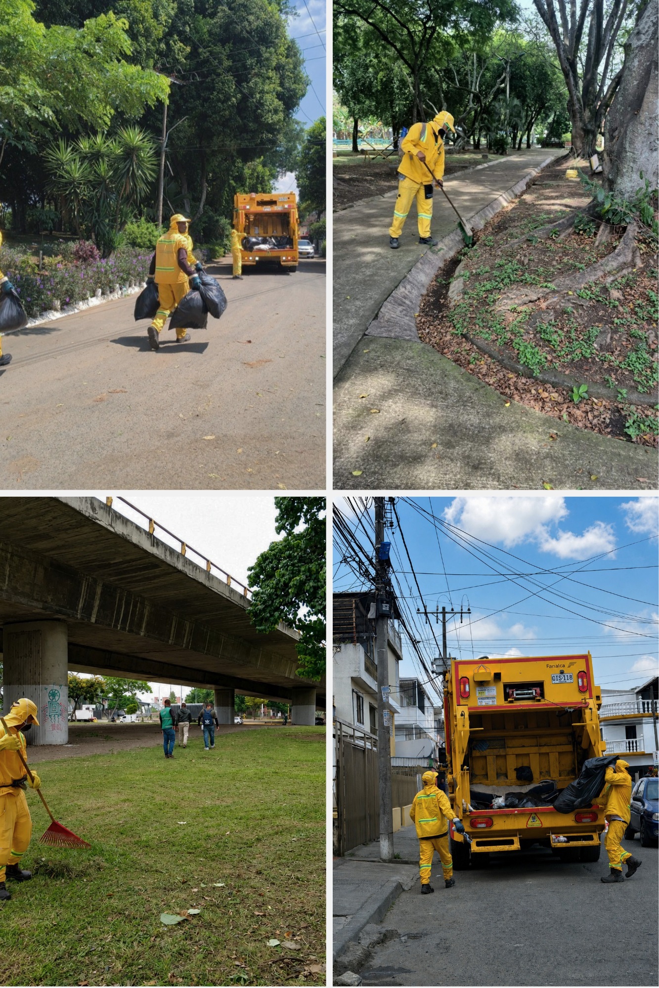 Operarios de la empresa Misión Ambiental S. A. ESP.