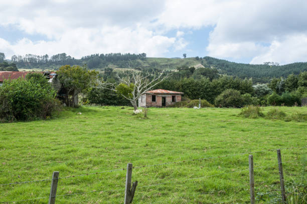 Remates judiciales del Banco Agrario ofrecen casas, lotes y más predios ...
