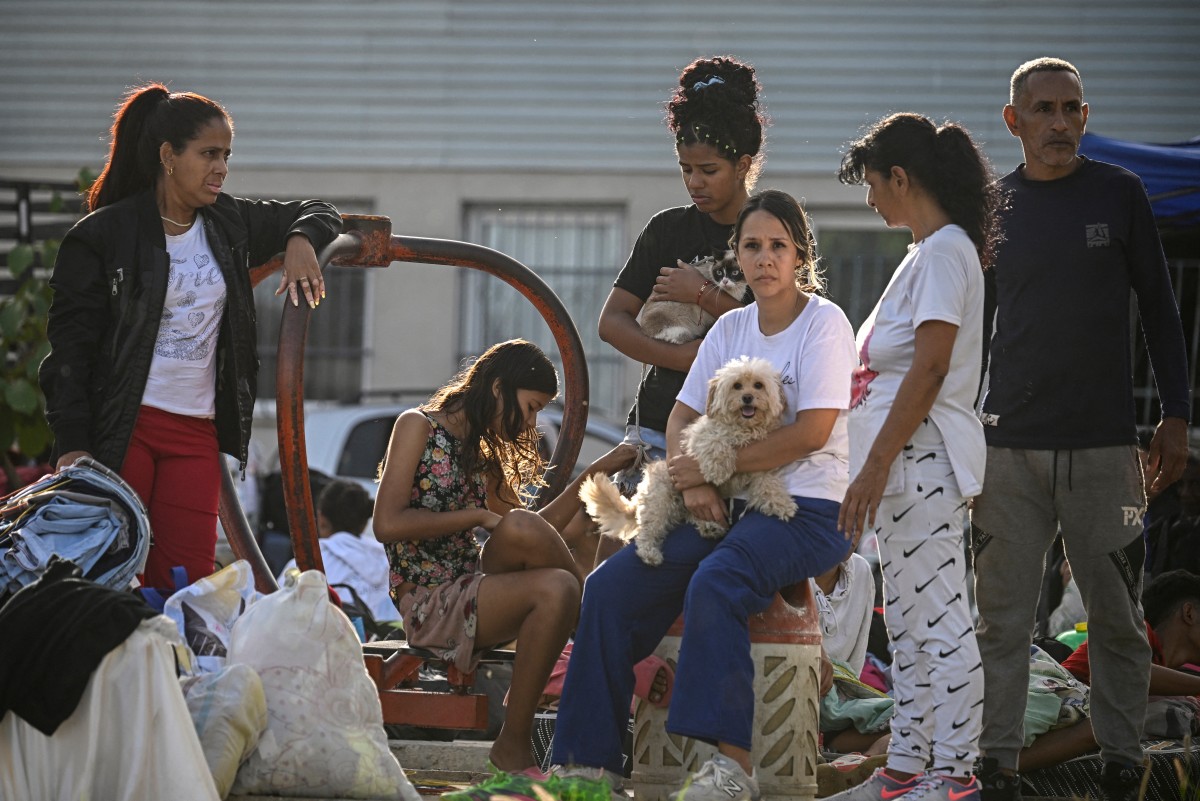 Rescate de mascotas en Venezuela