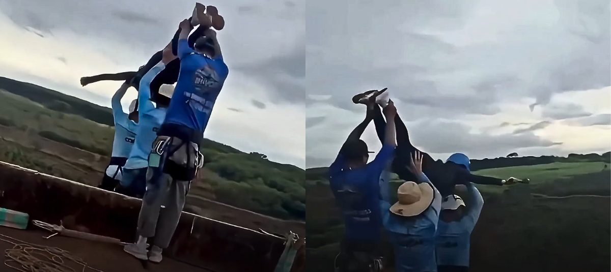 Tiroteo en un bar de Brasil deja dos muertos y tres heridos: adolescente de 15 años es buscado como principal sospechoso del ataque Tiroteo en un bar de Brasil deja dos muertos y tres heridos: adolescente de 15 años es buscado como principal sospechoso del ataque