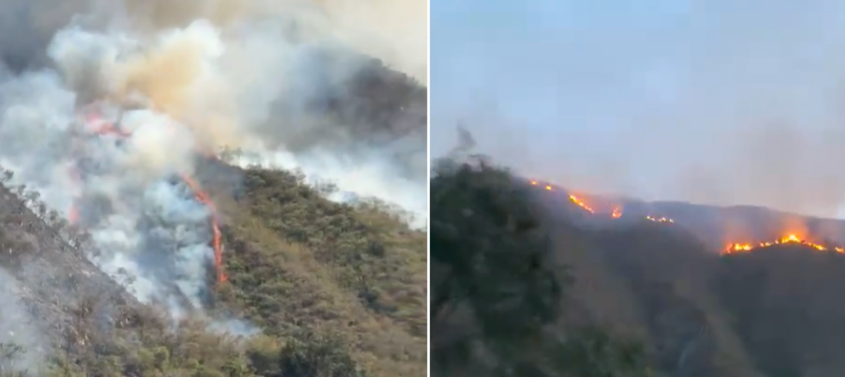 Serious forest fire in Palmira.