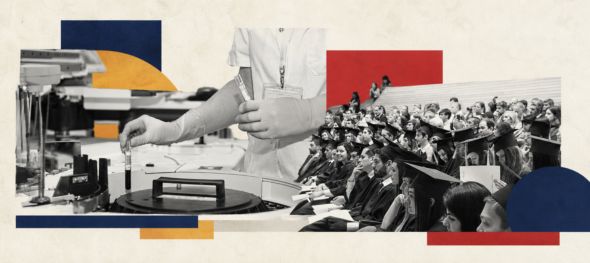 Collage Estudiantes Estados Unidos Investigación