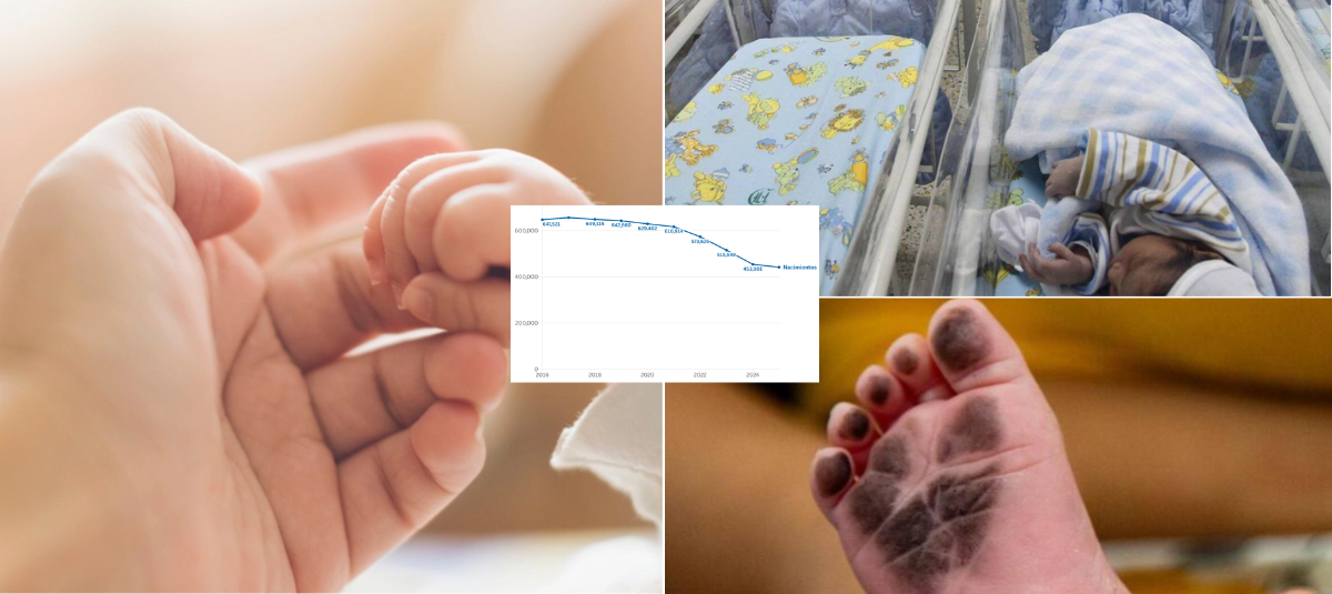 Between January and July 2026, 253,175 babies were born, 1.5 percent more than in the same period in 2025, according to preliminary figures from Dane.