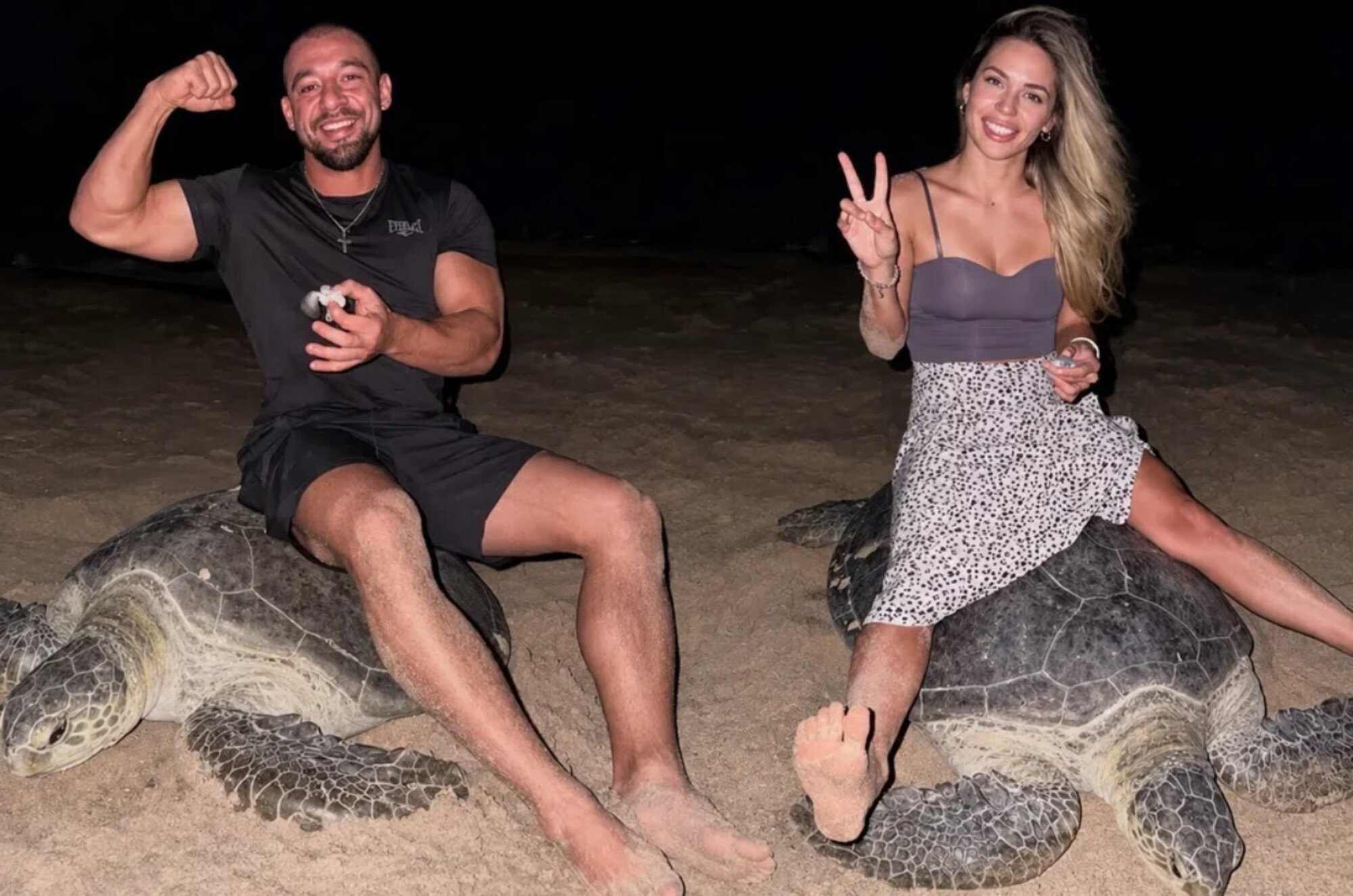 Ukrainian turtle influencer